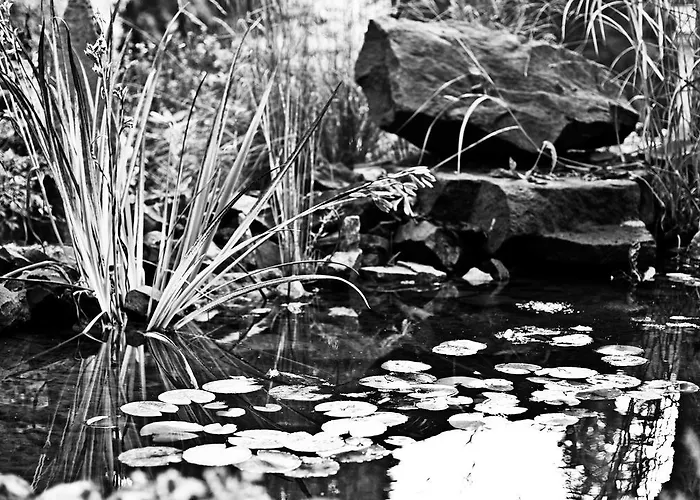 Appartement St. Moritz